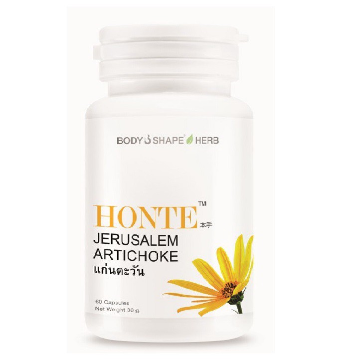菊芋 - Honte Bodyshape