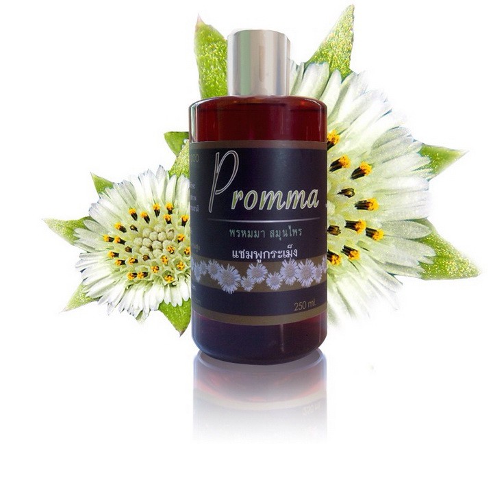 墨旱莲草本洗发素 - Promma 300毫升