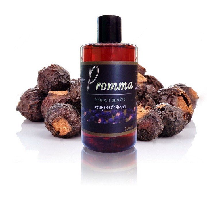 Soapberry  Herbal Shampoo - Promma 300ml