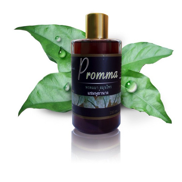 雅馕叶洗发精 - Promma 300毫升